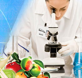 山东检验检疫局食品农产品检测中心 党员技术服务热线，筑牢食品安全防线